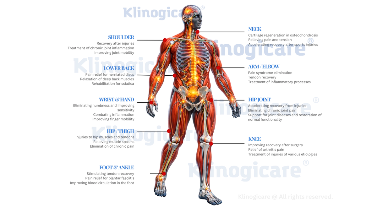 Atlante anatomico che mostra le principali zone terapeutiche di applicazione di Quantum Magnetic Storm su colonna vertebrale, articolazioni, regioni periferiche, grandi gruppi muscolari e pavimento pelvico